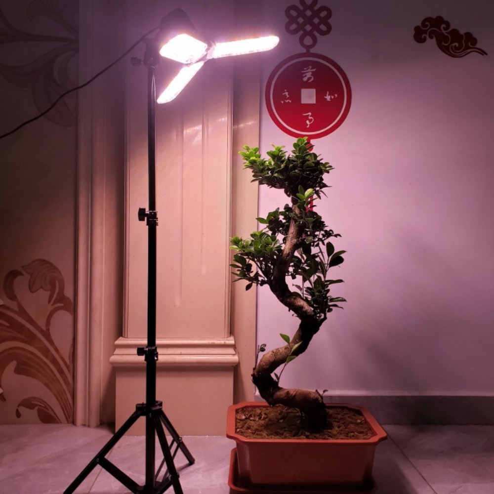 Ampul Standı 2M, Şemsiye Lamba - Photography Umbrella incelemesi ve fiyatı